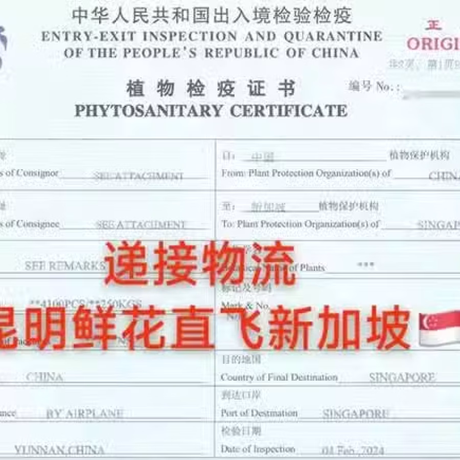 云南鲜花空运冷藏运输新加坡,新加坡鲜花清关需要什么资料 图片 2
