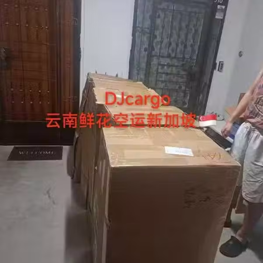 云南鲜花空运冷藏运输新加坡,新加坡鲜花清关需要什么资料 图片 4