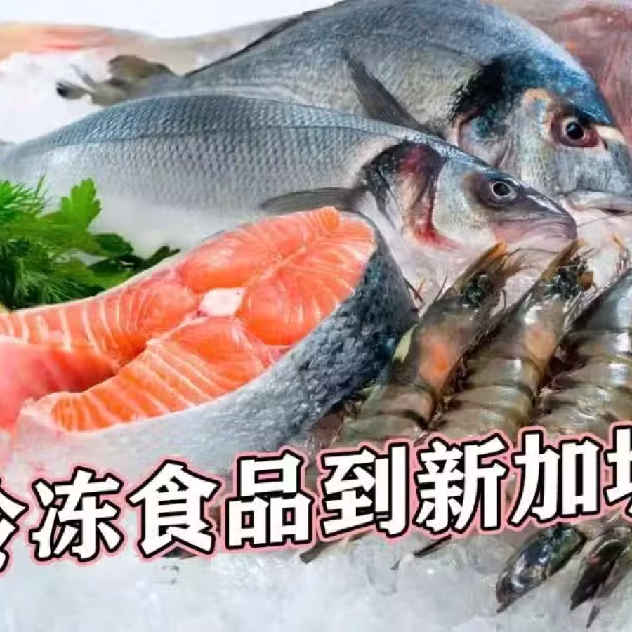 中国冷冻食品拼箱海运到新加坡进出口双清 图片 1