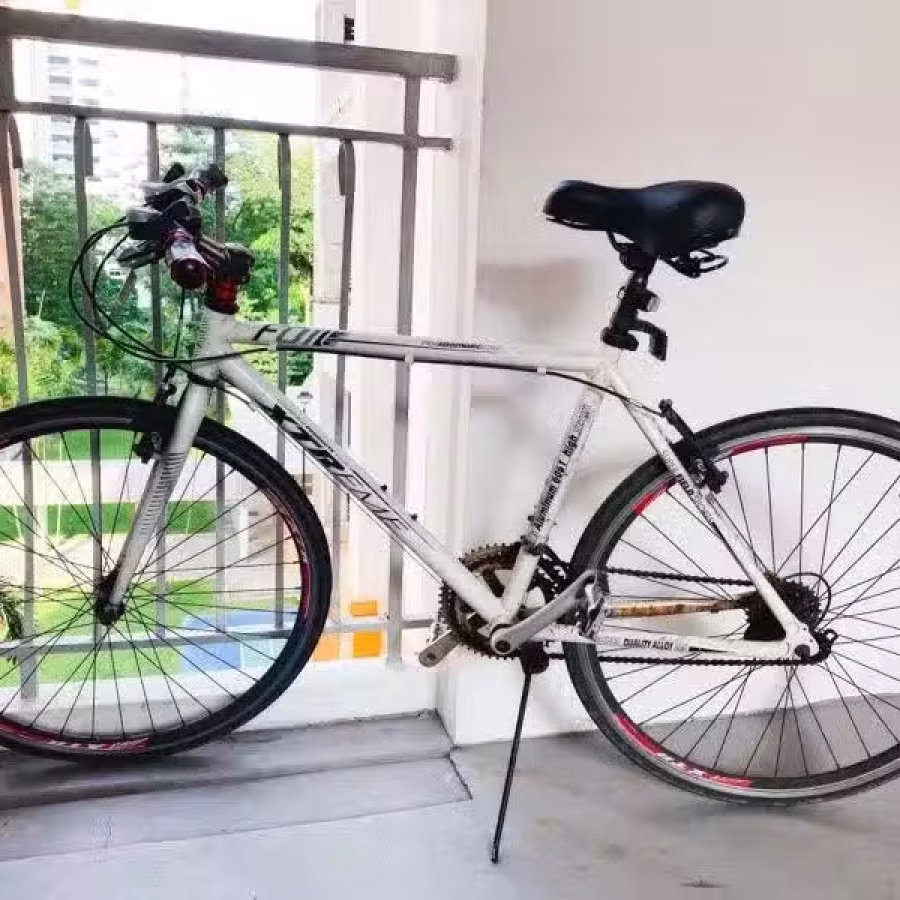 文理先驱出售自行车 图片 1