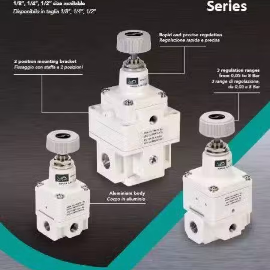意大利品牌 VESTA HPR系列高精度气压调节器 (新加坡现货） 图片 5