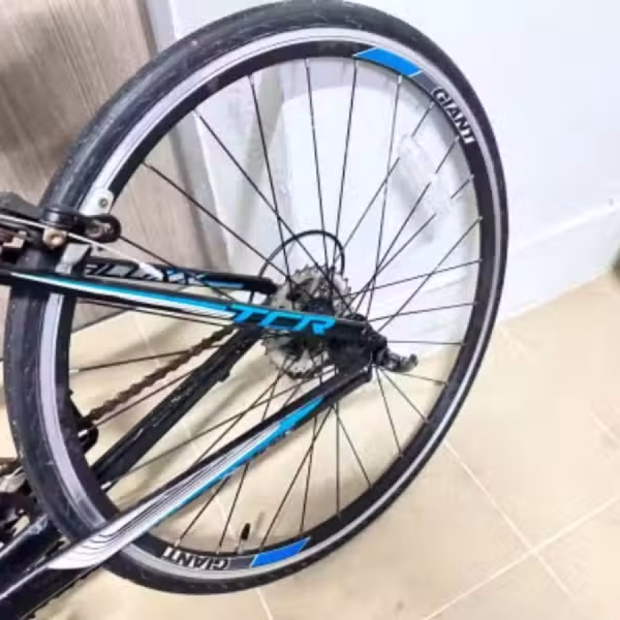 捷安特公路车 图片 3
