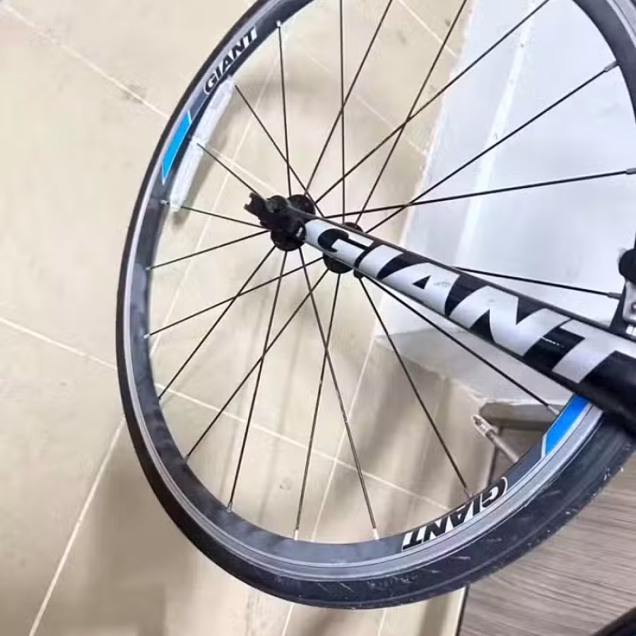 捷安特公路车 图片 5