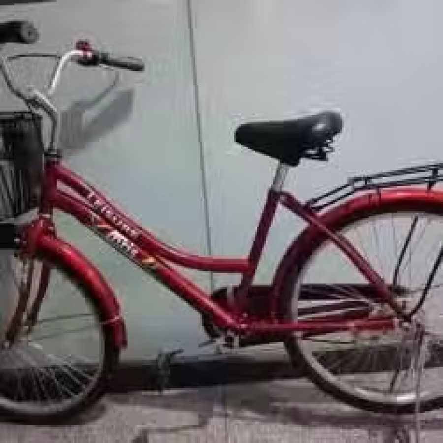 女式自行车 图片 1