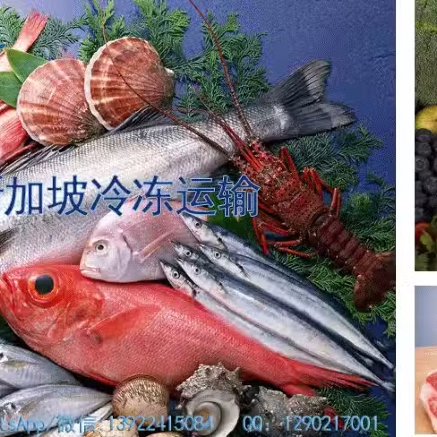 新加坡冷链运输优势，可以运输哪些冷冻食品 图片 1