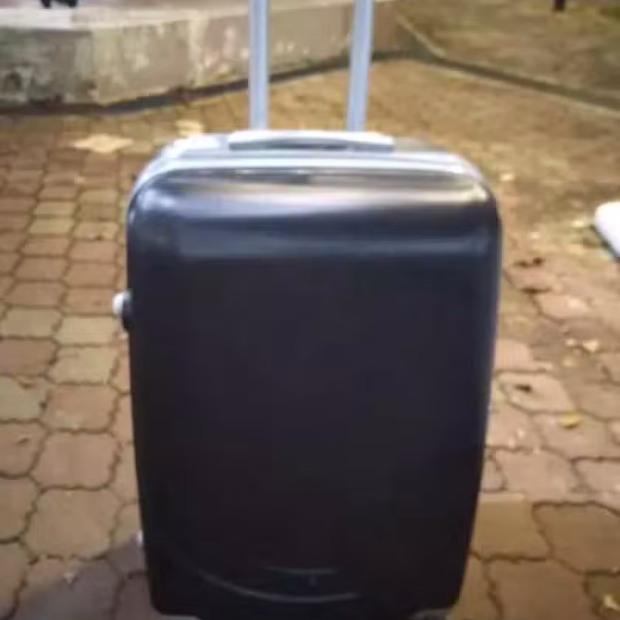 旅行箱 大 图片 1