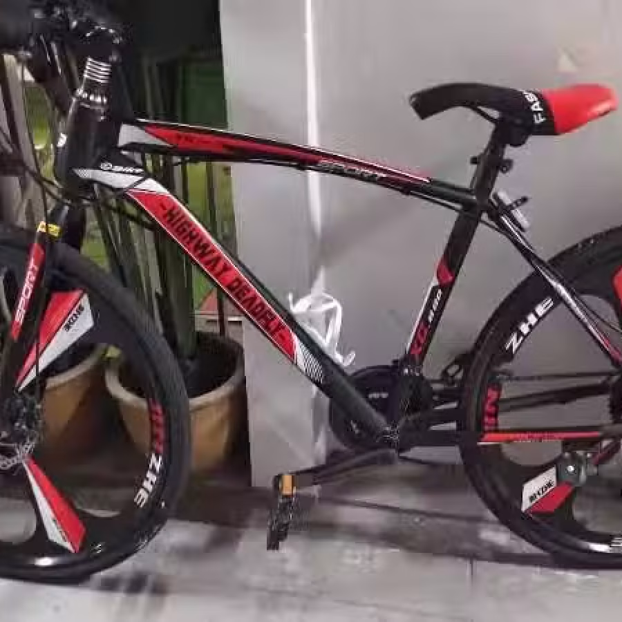 处理自己的公路车 图片 2