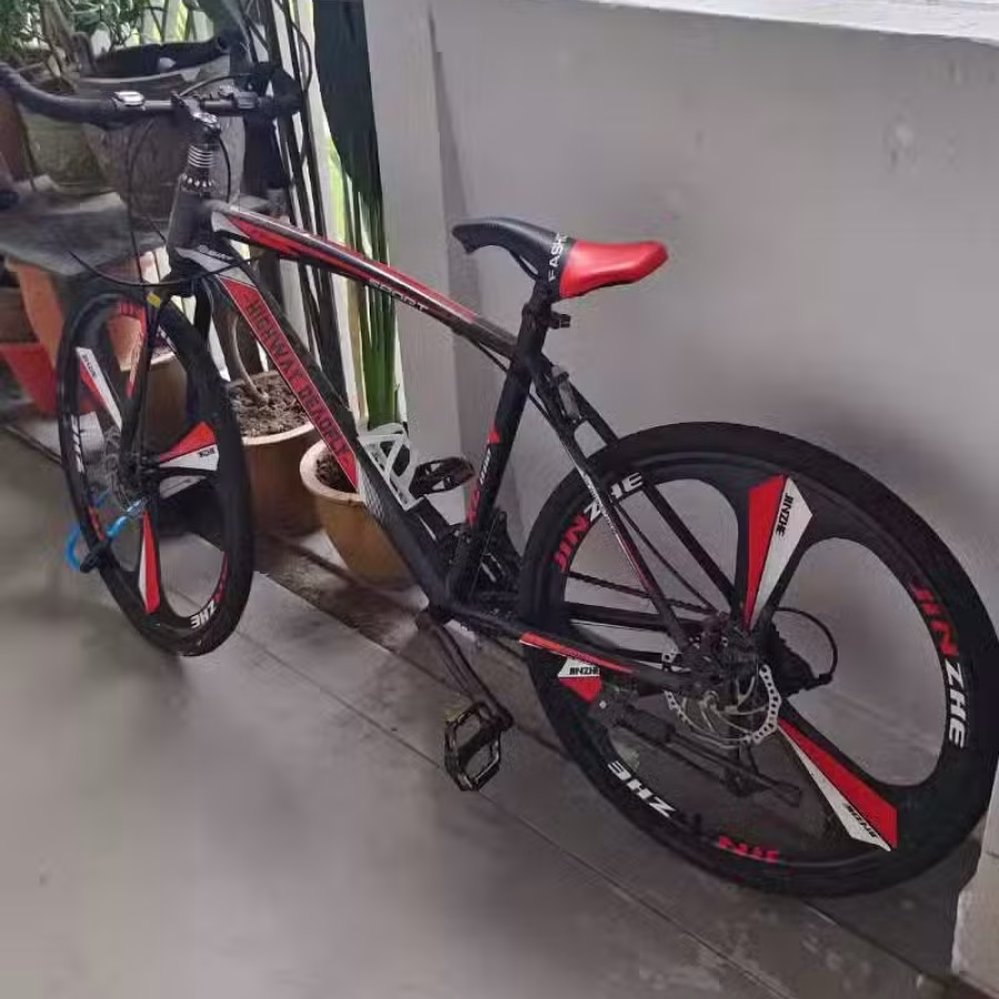处理自己的公路车 图片 3