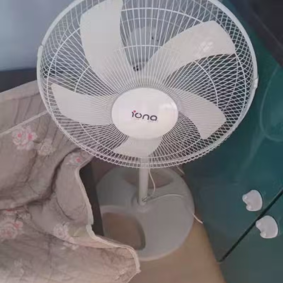 风扇 图片 2