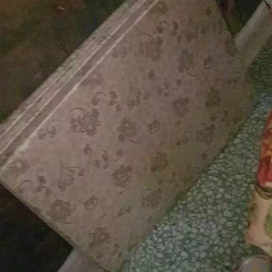 新 床垫 海马  图片 1