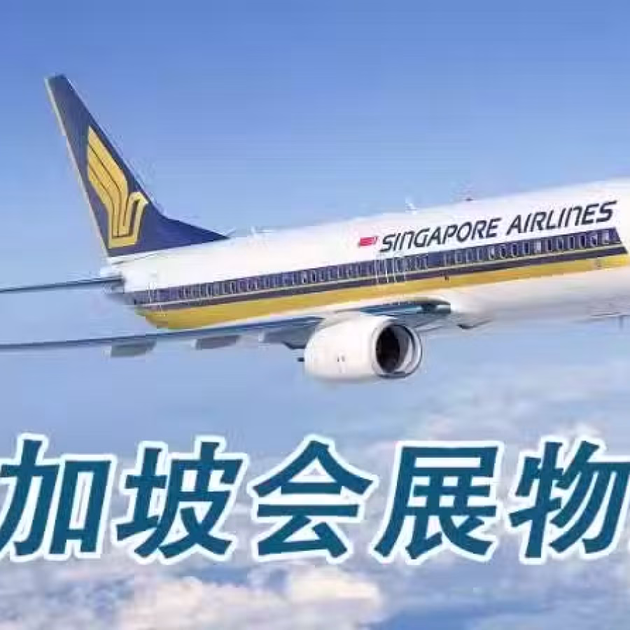 新加坡会展物流,新加坡ATA空运运输,新加坡金沙展览中心物流商 图片 1