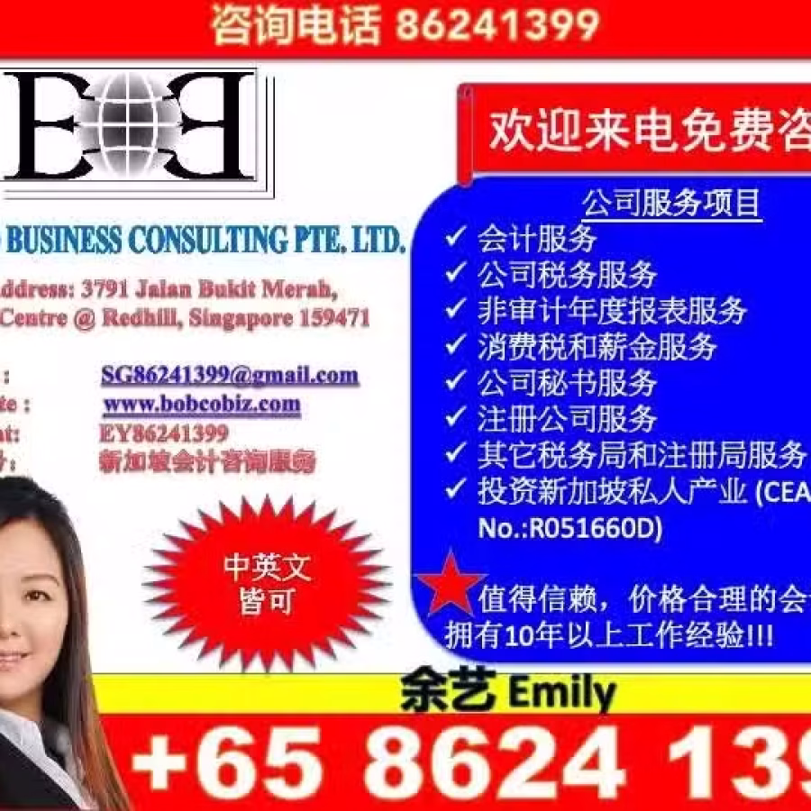 新加坡专业会计，税务，秘书,注册开新公司等服务 图片 1