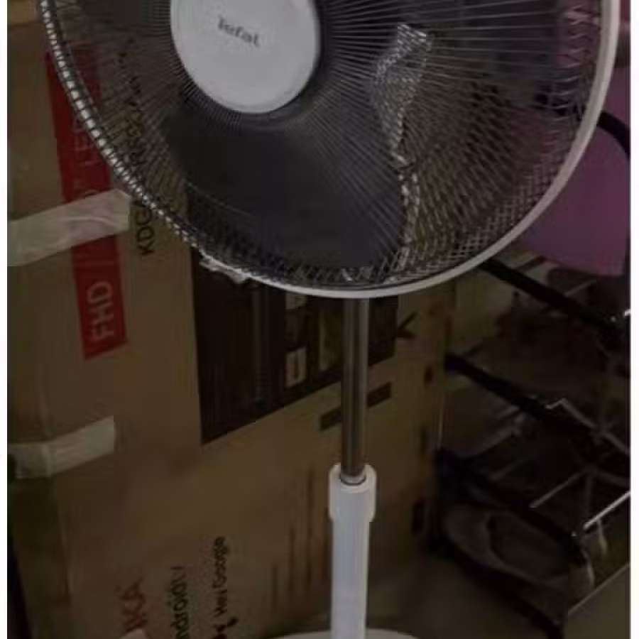 风扇 图片 1