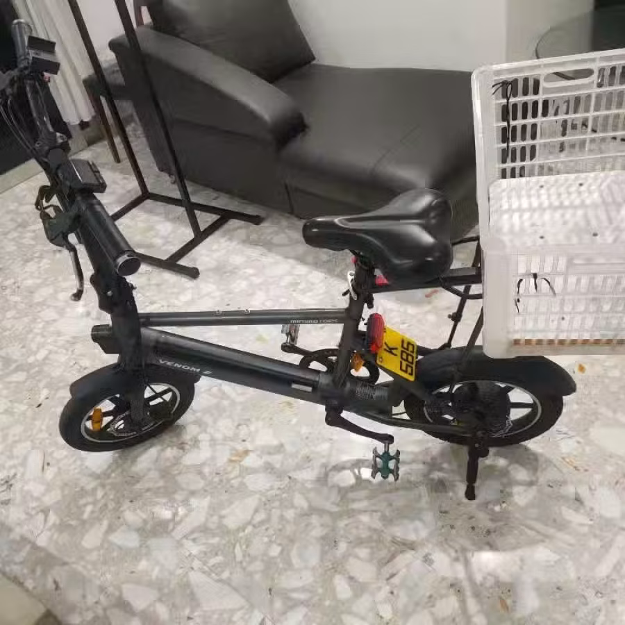 可折叠有牌照电动车 图片 2
