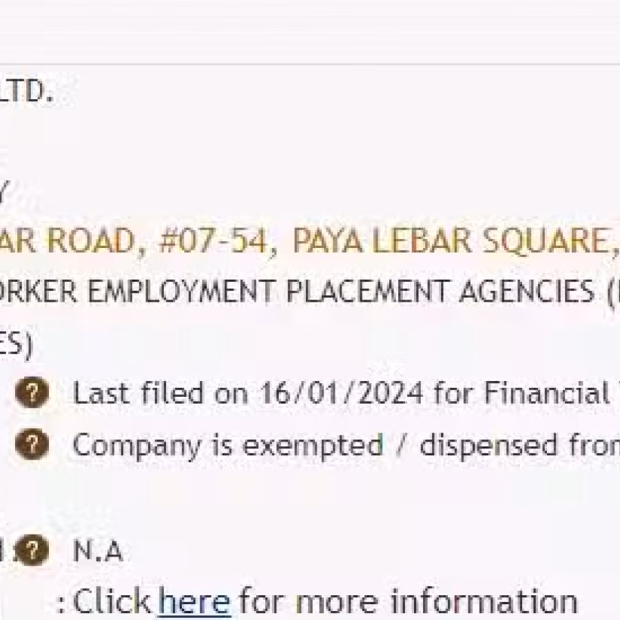 售卖公司 Openai Pte Ltd UEN（202312123D） 图片 1