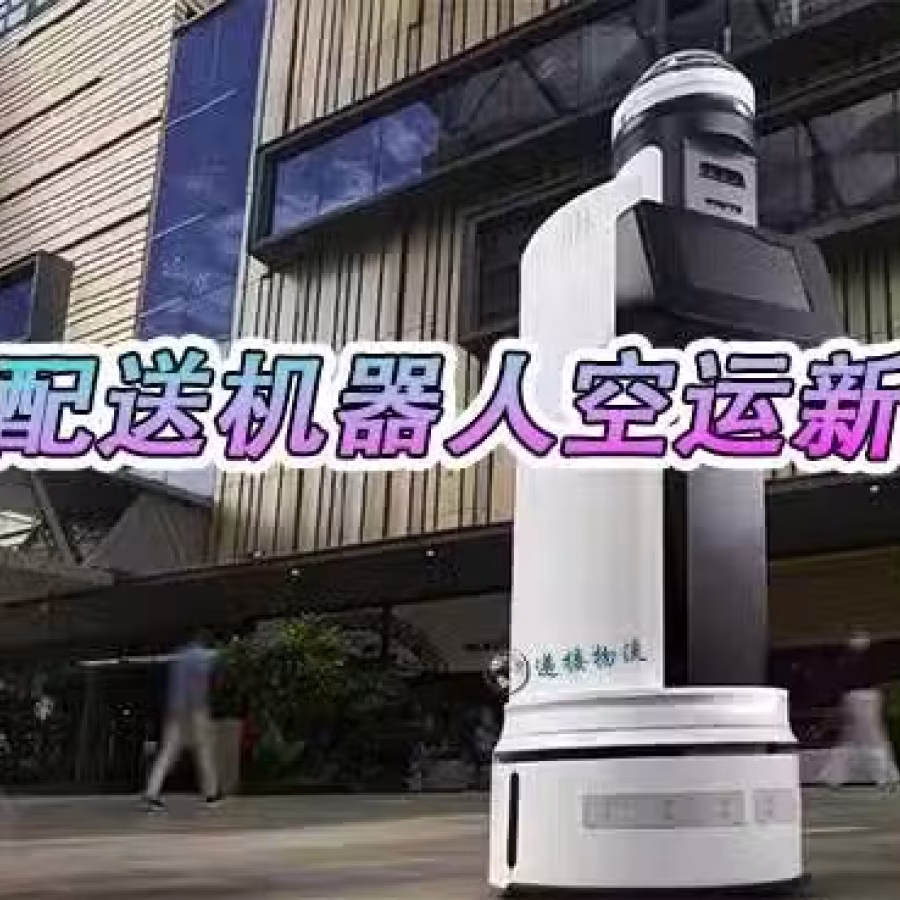 智能配送机器人空运新加坡双清到门服务 图片 2