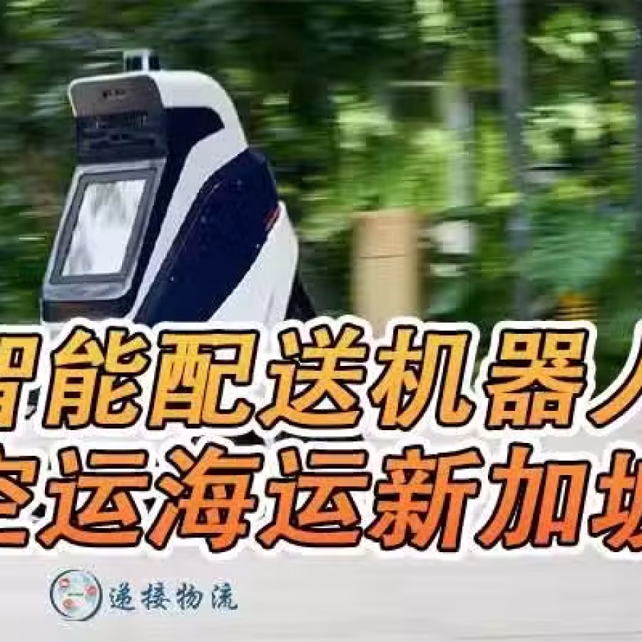 智能配送机器人空运新加坡双清到门服务 图片 3