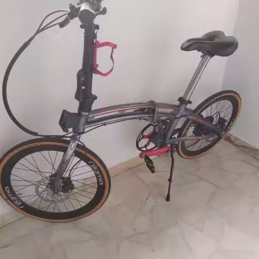 折叠脚车 图片 1