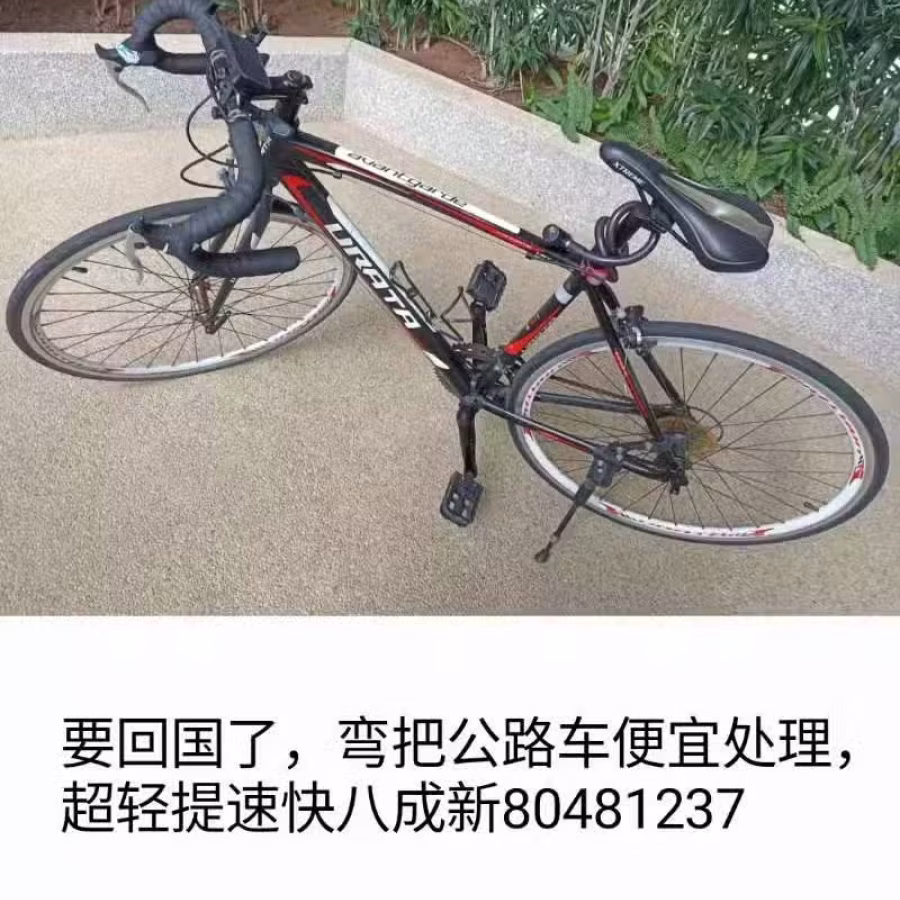 弯把公路车 图片 1
