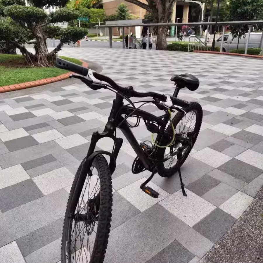 自行车 二手 图片 2