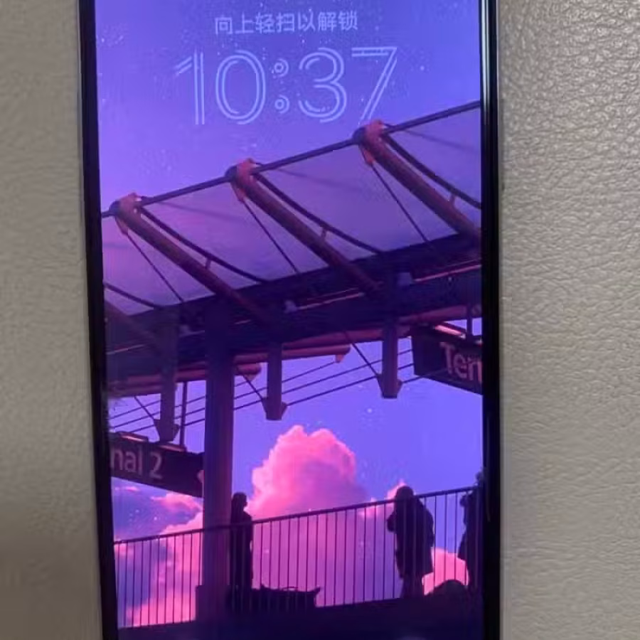 只需400！！！Iphone 11 Pro Max 256GB 图片 4