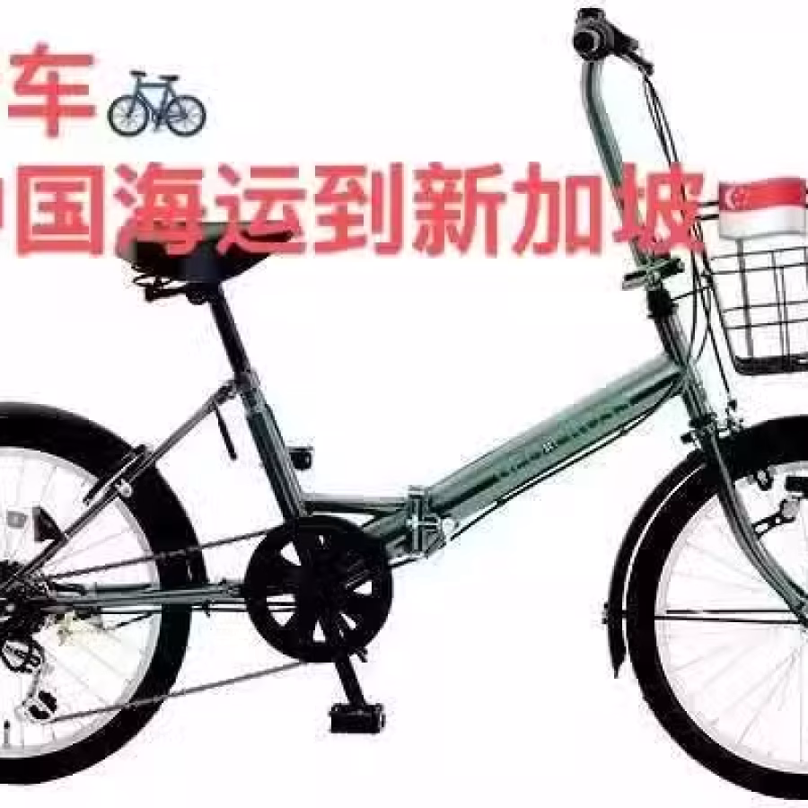 自行车新加坡别再买虾皮，海运更省钱 图片 1