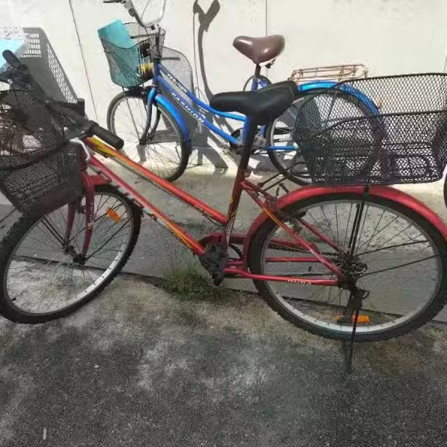 自行车 图片 2