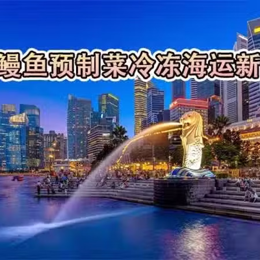鳗鱼串冷冻海运新加坡最佳方法,鳗鱼串冷冻海运到新加坡 图片 2
