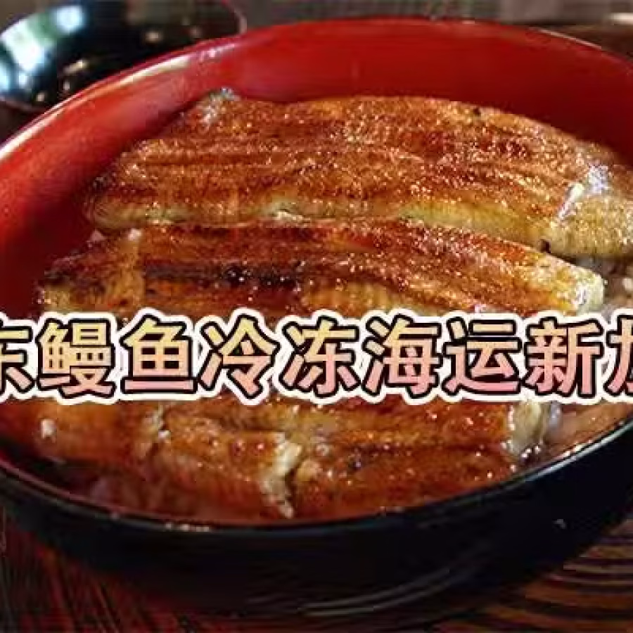 鳗鱼串冷冻海运新加坡最佳方法,鳗鱼串冷冻海运到新加坡 图片 3