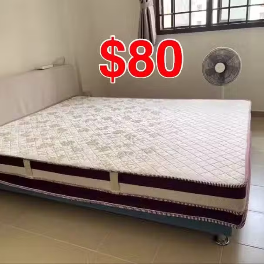 搬家甩 图片 3