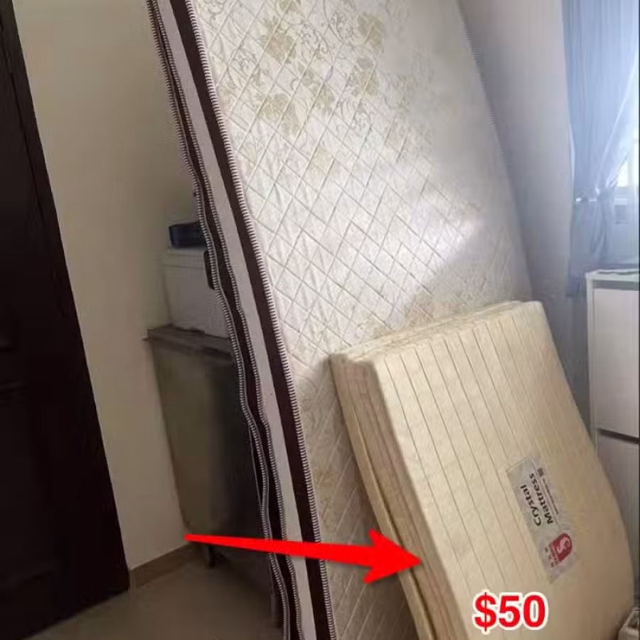 搬家甩 图片 10