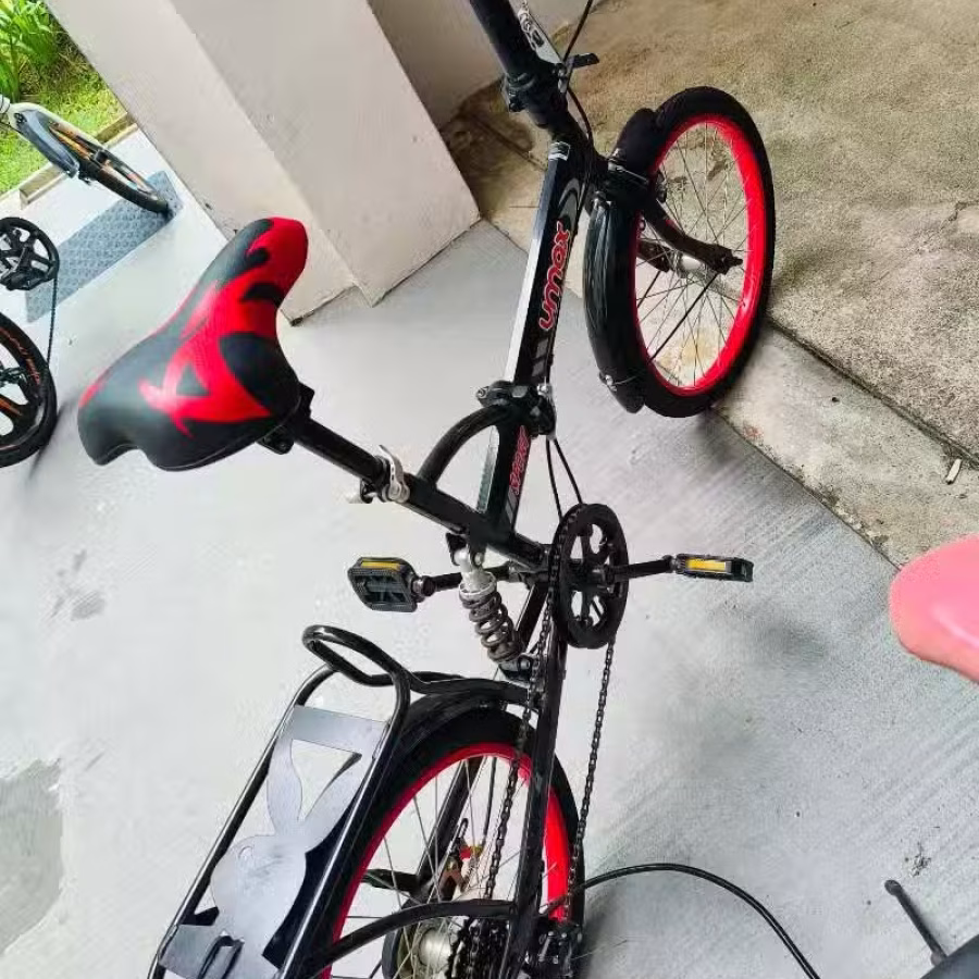 脚车 图片 4