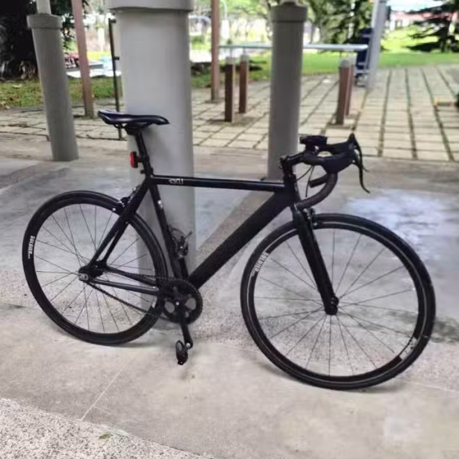 单速自行车 图片 7