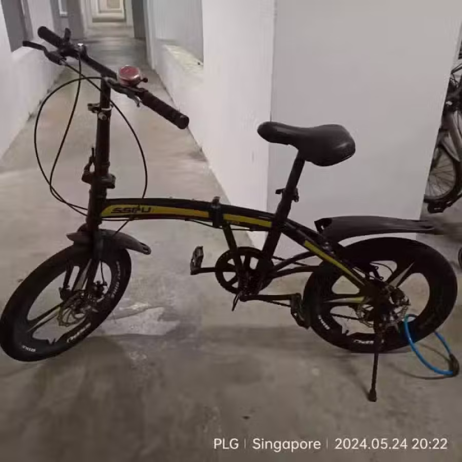 海军部男女自行车折叠车，微信sunflower68422，价格私聊 图片 18