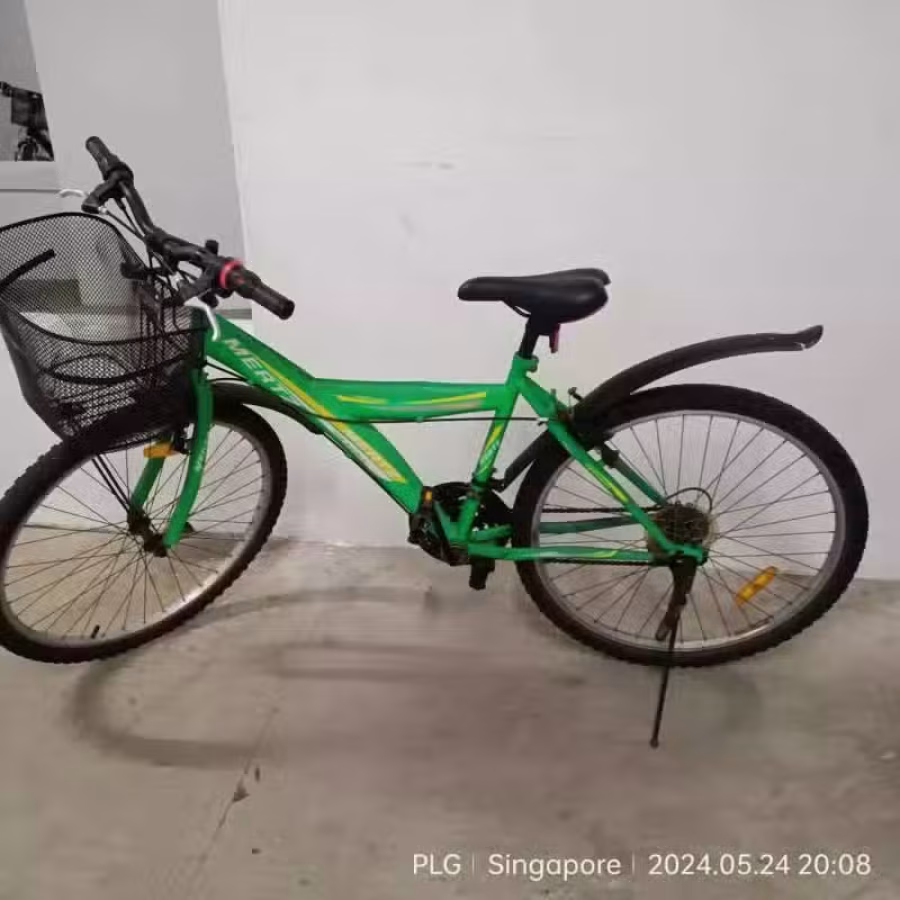 海军部男女自行车折叠车，微信sunflower68422，价格私聊 图片 10