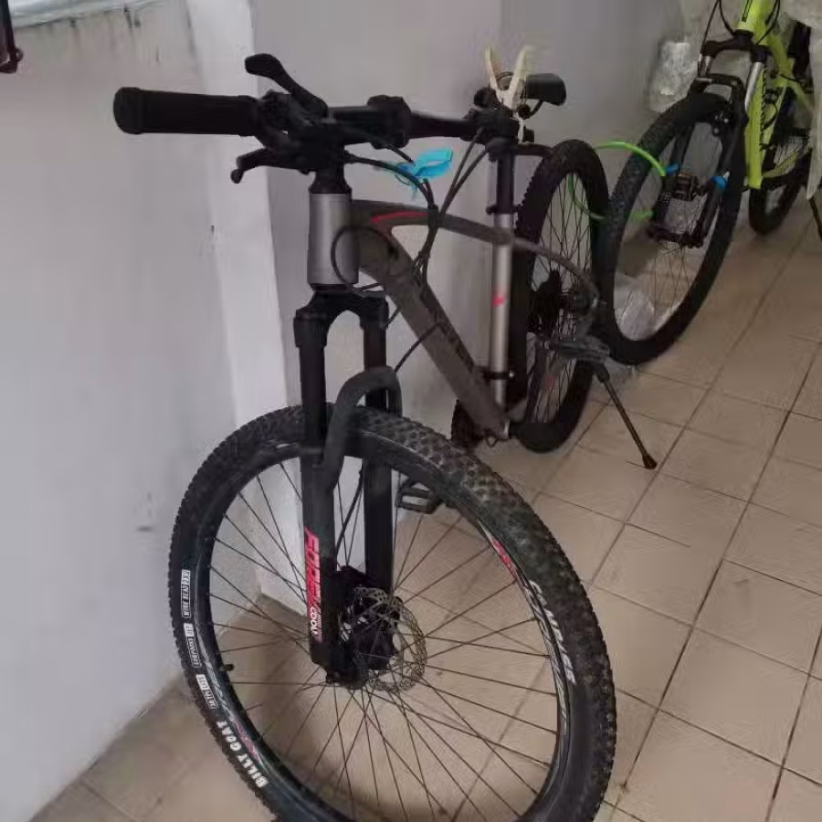 出售9成新自行车 图片 2