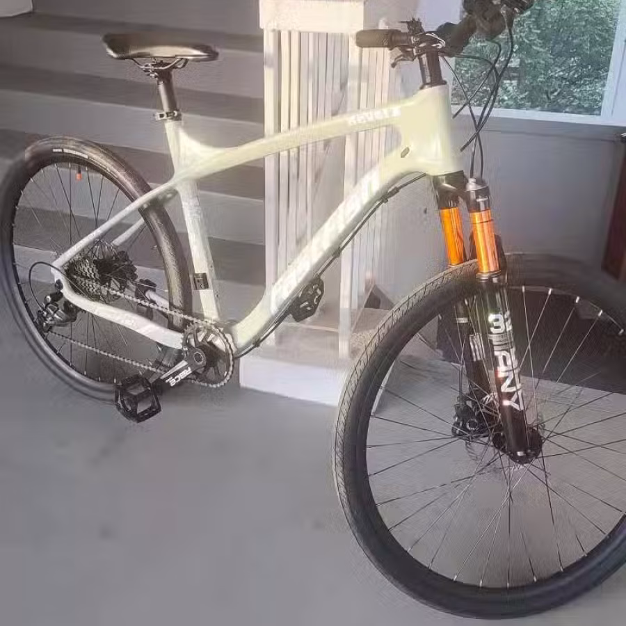 出售品牌自行车 图片 1