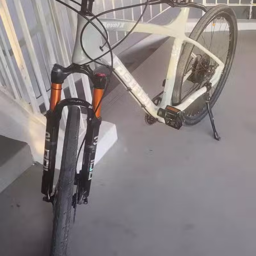 出售品牌自行车 图片 4