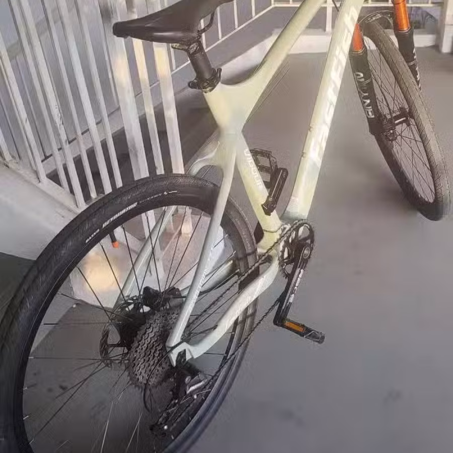 出售品牌自行车 图片 5