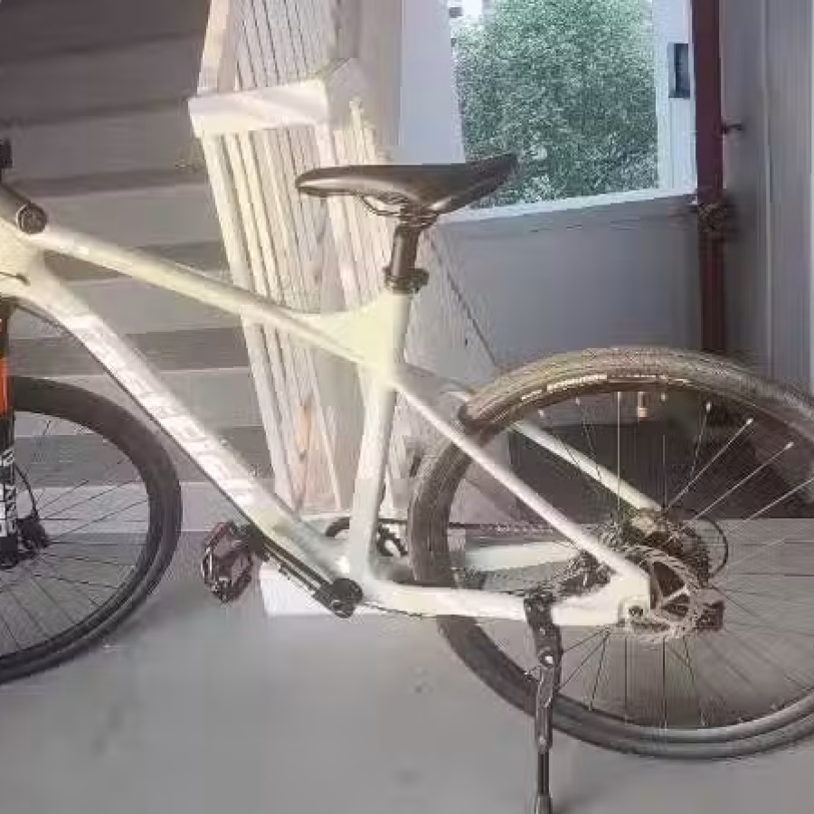 出售品牌自行车 图片 6