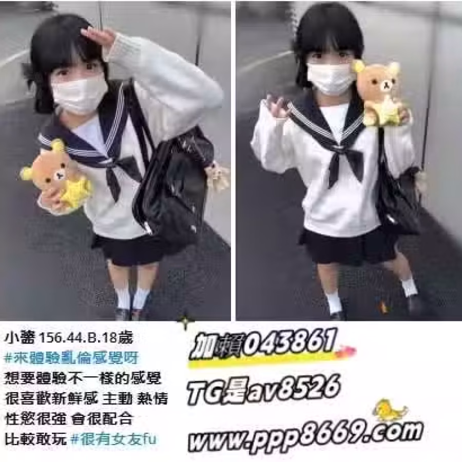 12656 图片 1