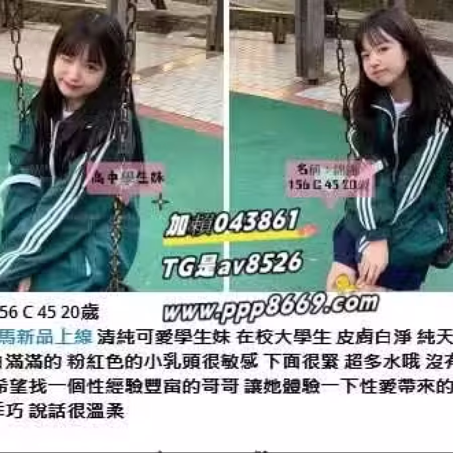 12656 图片 5
