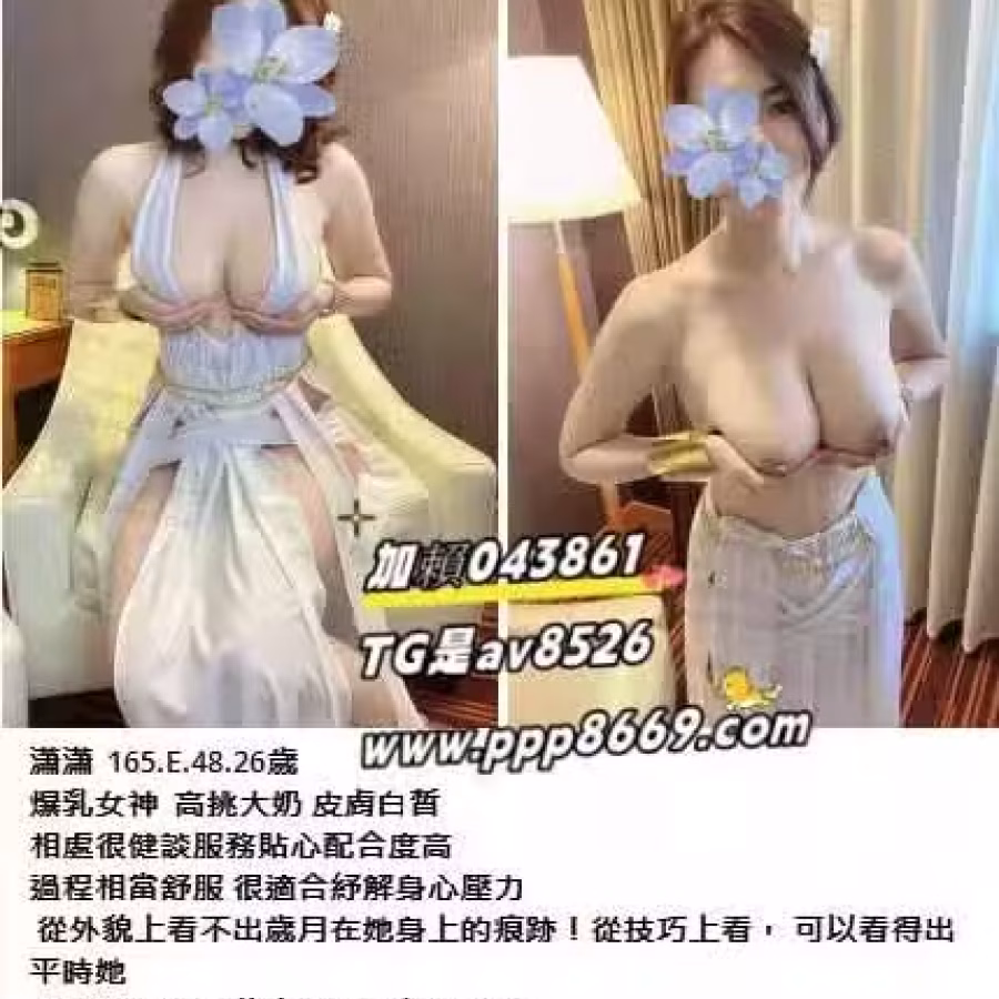 12656 图片 6