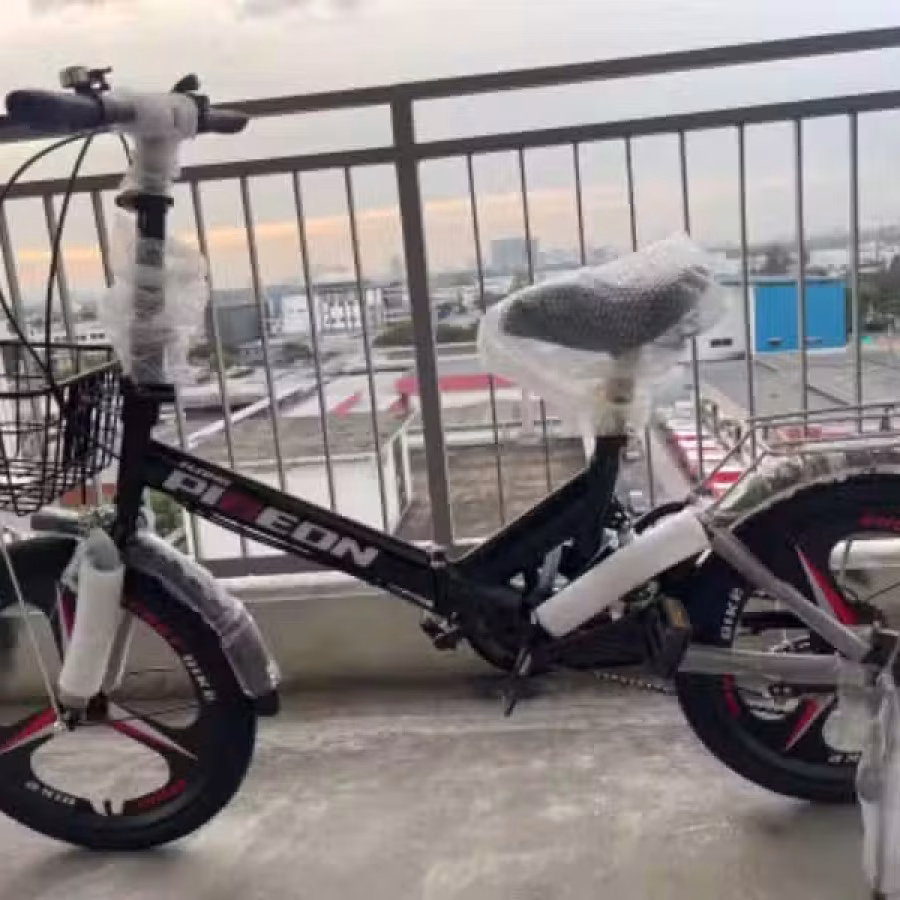 20寸 变速 折叠 轻巧自行车 图片 1