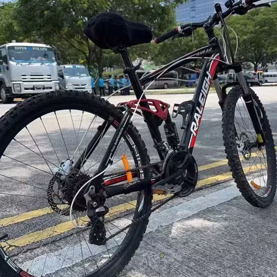 兰令软尾山地自行车 图片 1