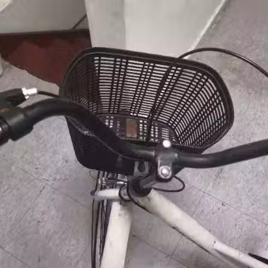 胶踏车 图片 1