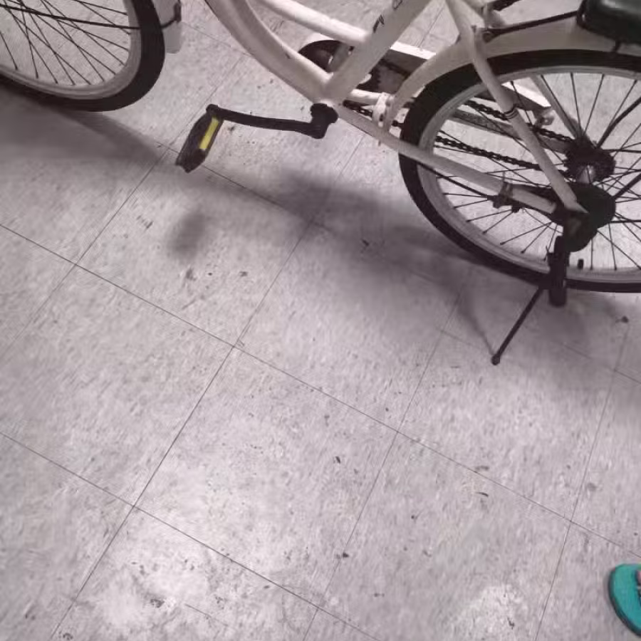 胶踏车 图片 2
