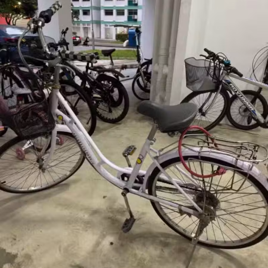 自行车 图片 1