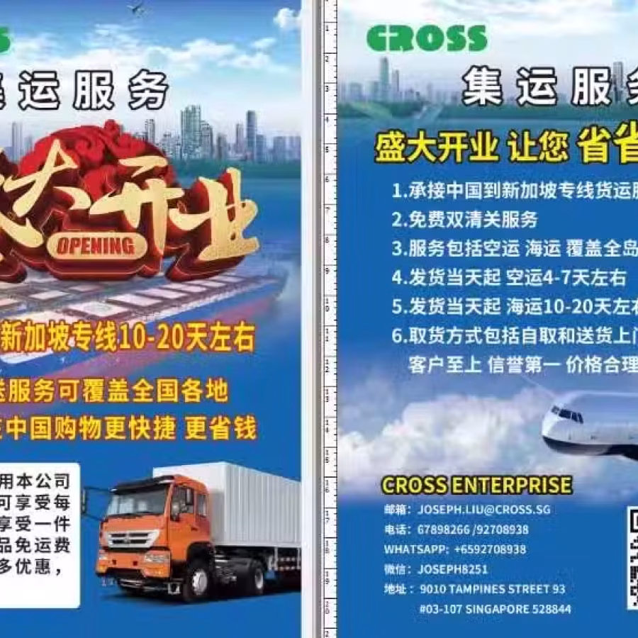 中国到新加坡集运 每件最低新币2元起 图片 2