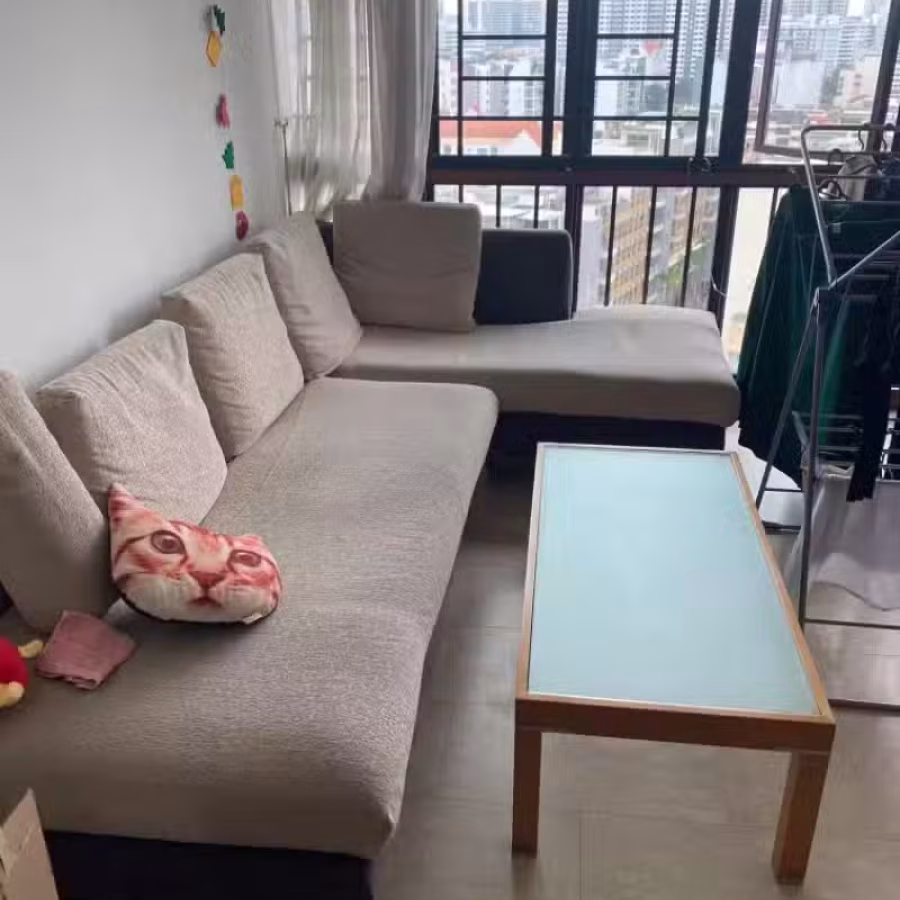 免费送L型沙发 图片 1